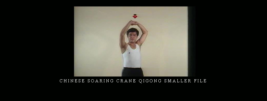 Chinese Soaring Crane Qigong Smaller File