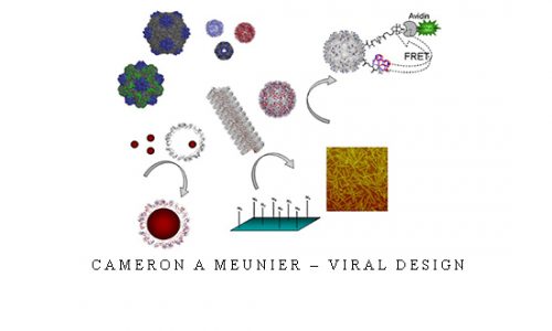 Cameron A Meunier – Viral Design |