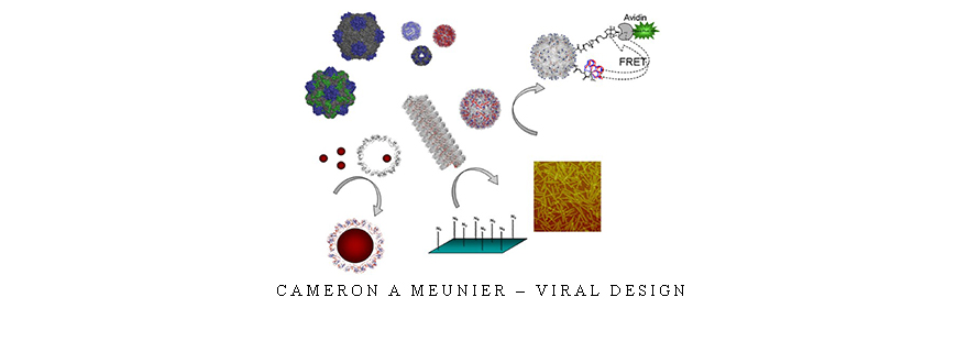 Cameron A Meunier – Viral Design