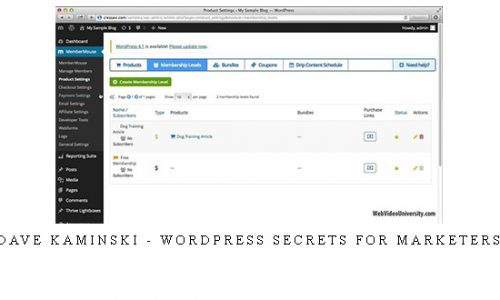 Dave Kaminski – WordPress Secrets For Marketers |