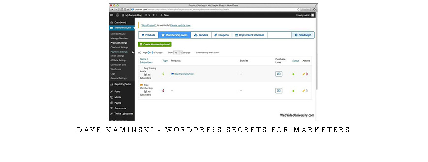 Dave Kaminski – WordPress Secrets For Marketers