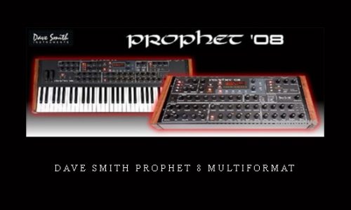 Dave Smith Prophet 8 MULTiFORMAT |