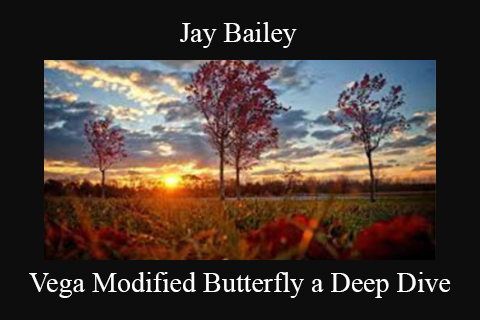 Jay Bailey – Vega Modified Butterfly a Deep Dive