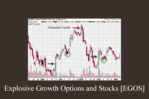 Explosive Growth Options and Stocks [EGOS] (1)